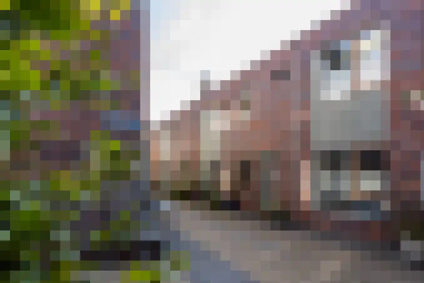 Zeemeeuwhof 15 Utrecht thumbnail 37