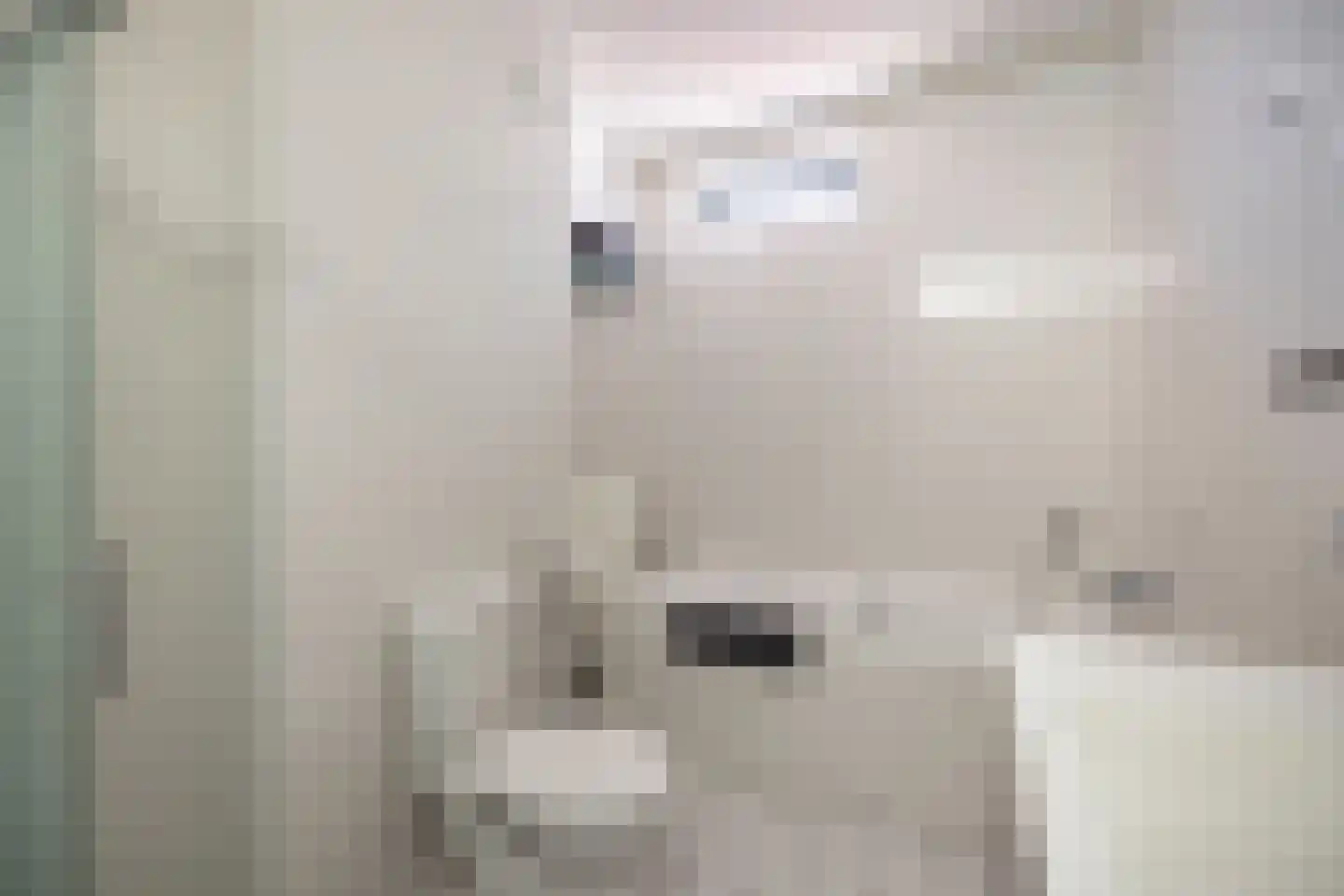Zeemeeuwhof 23 Utrecht thumbnail 41