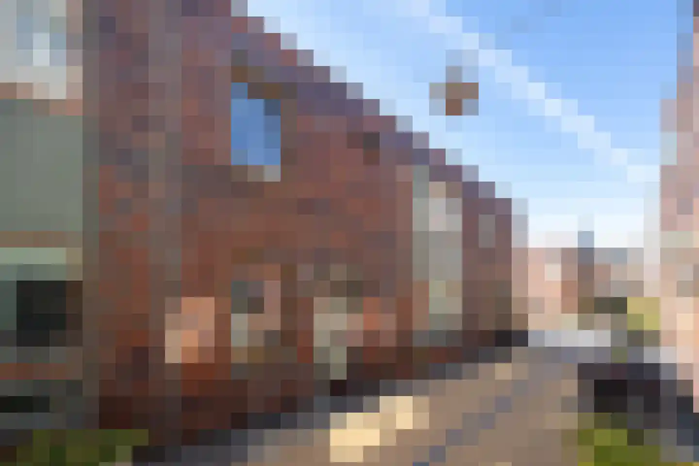 Zeemeeuwhof 23 Utrecht thumbnail 7