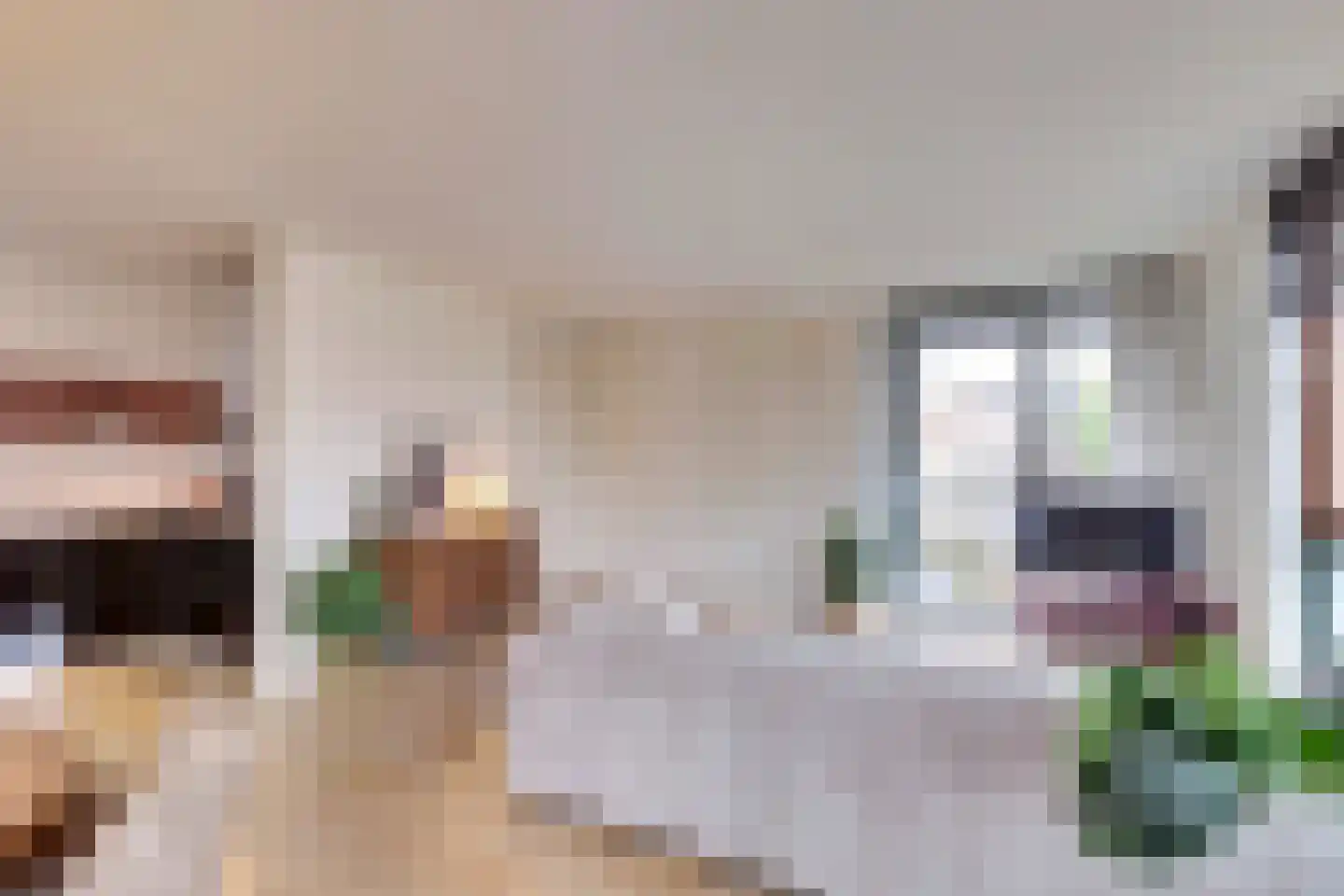 Zeemeeuwhof 8 Utrecht thumbnail 15