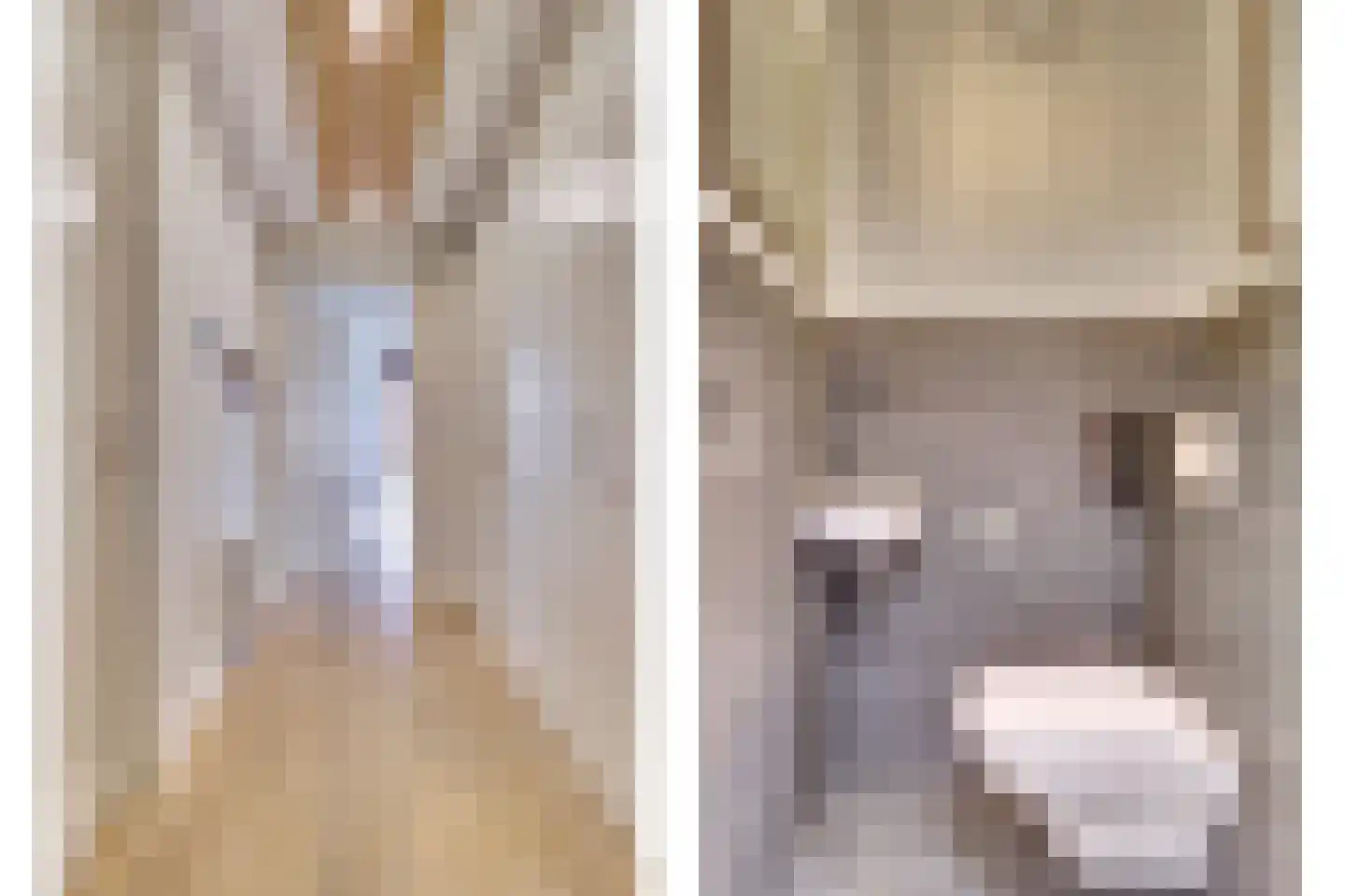 Zeemeeuwhof 8 Utrecht thumbnail 34