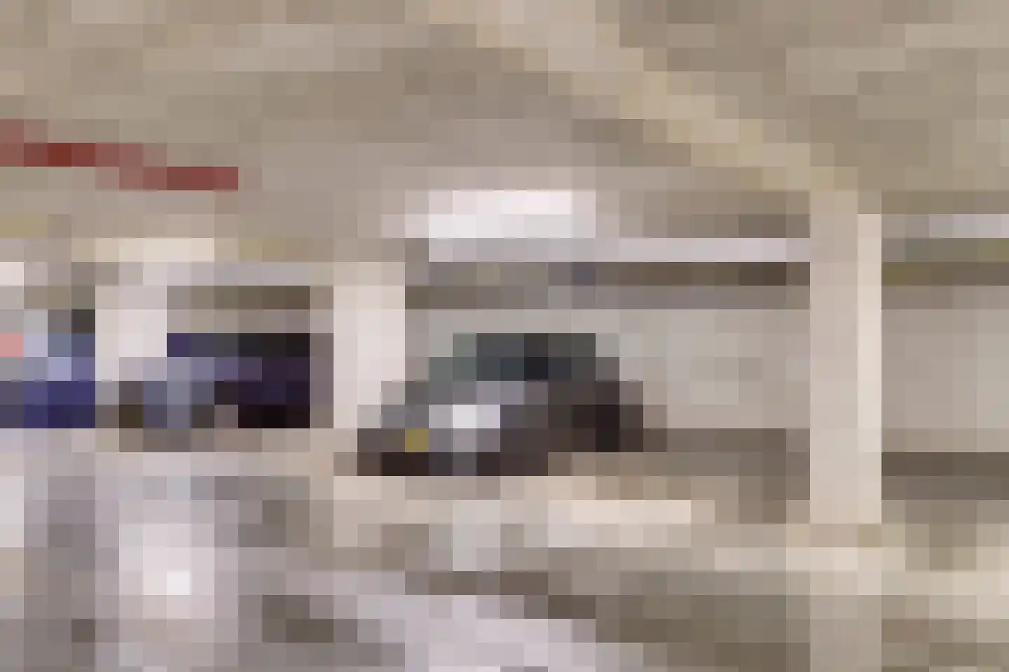 Zeemeeuwhof 8 Utrecht thumbnail 37