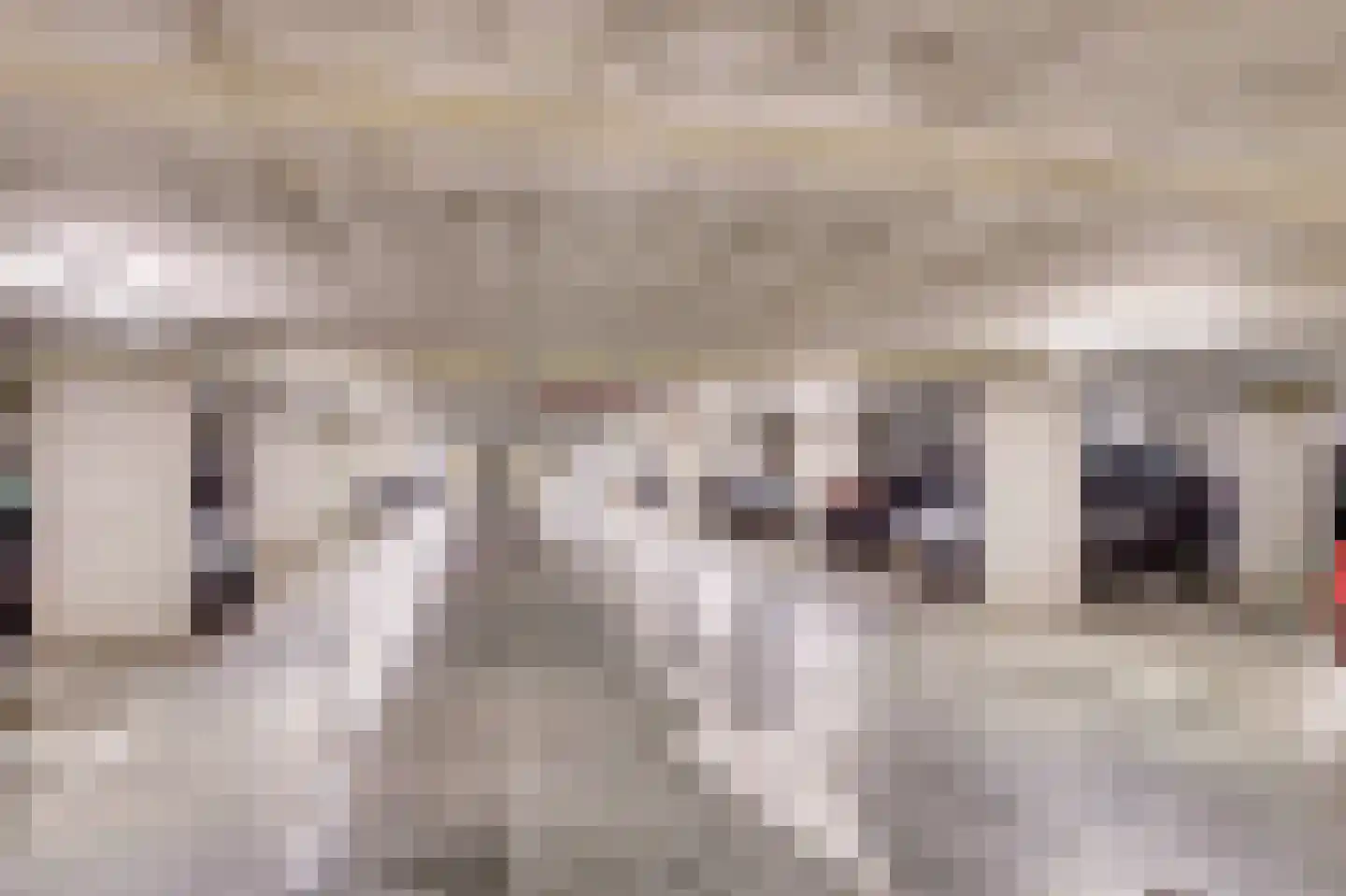 Zeemeeuwhof 8 Utrecht thumbnail 38