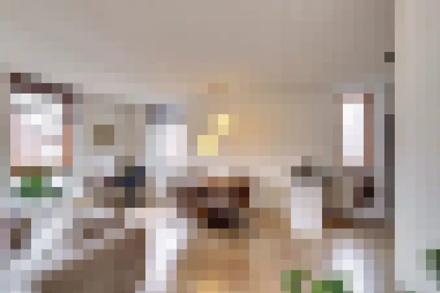 Zeemeeuwhof 8 Utrecht thumbnail 7