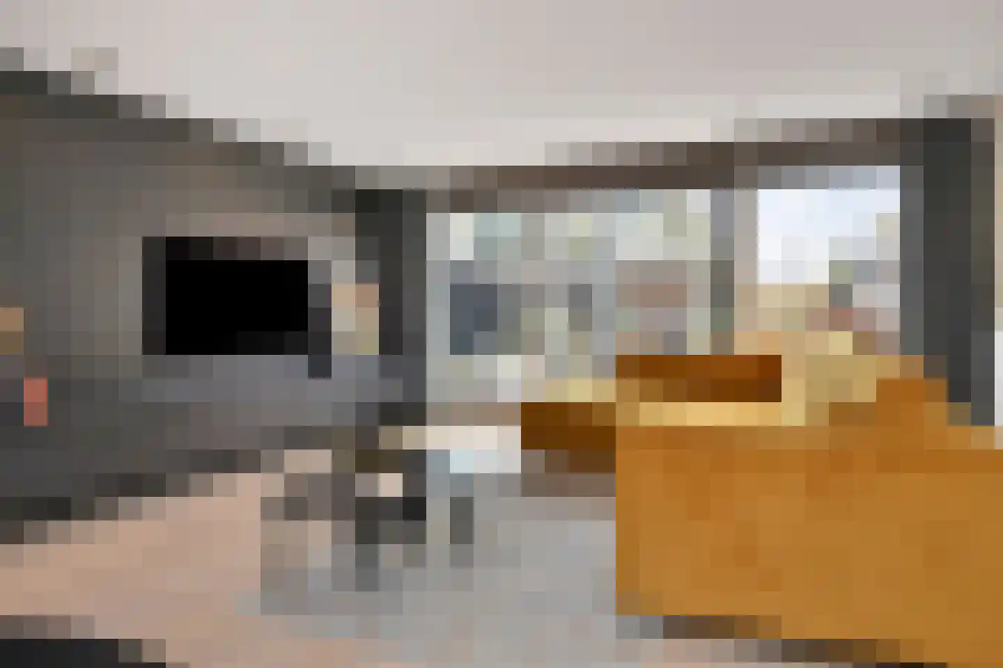 Zeepaddestoel 3 Naaldwijk thumbnail 14