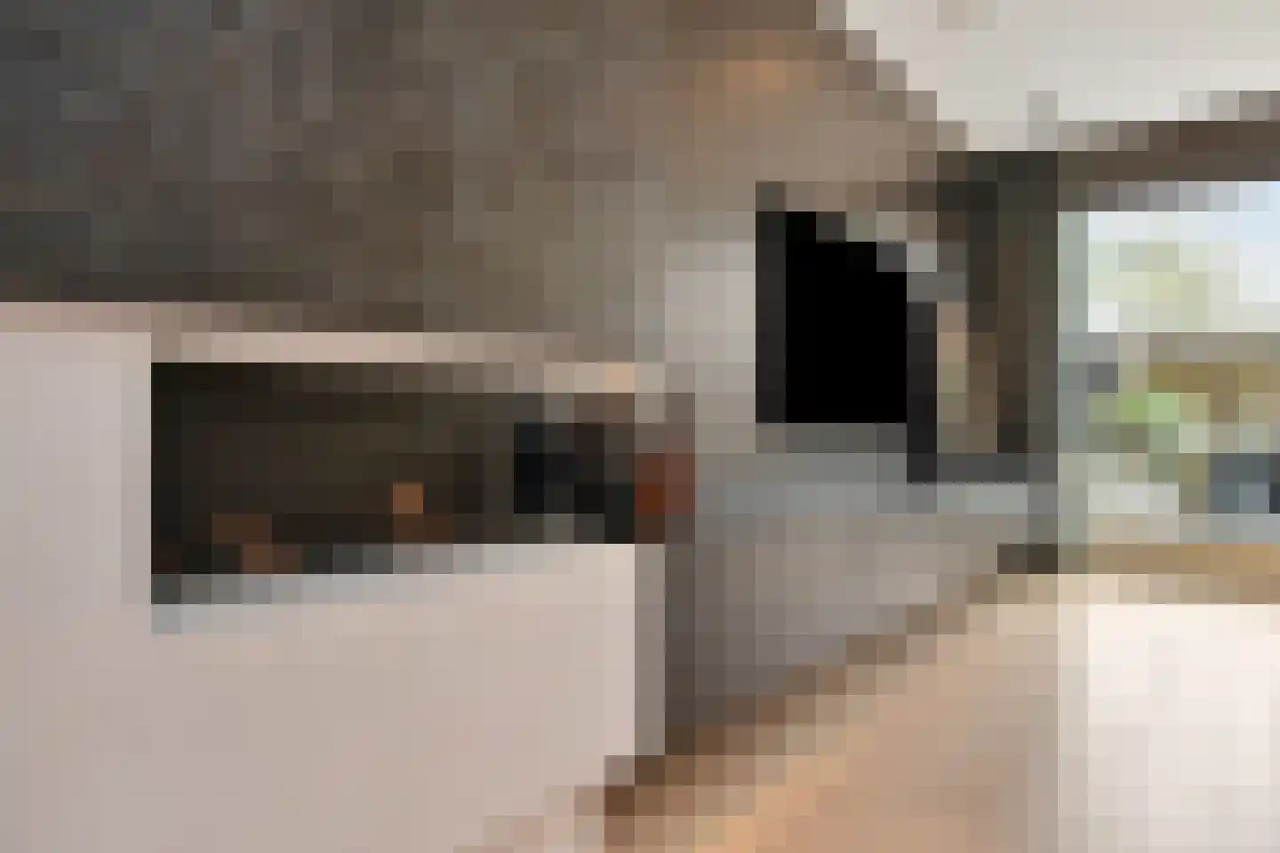 Zeepaddestoel 3 Naaldwijk thumbnail 15