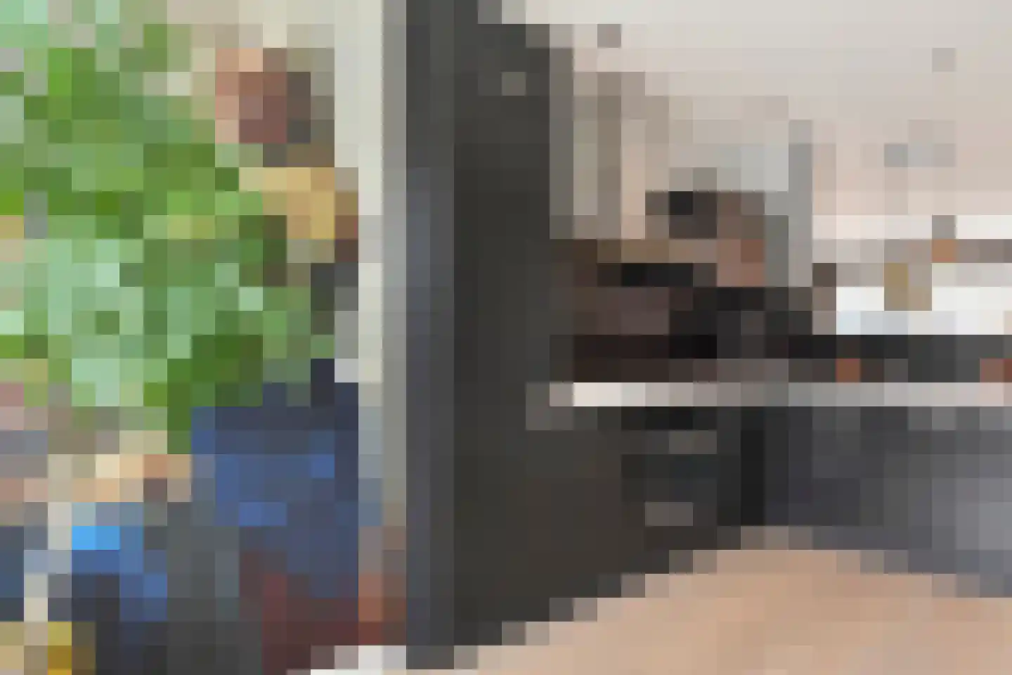 Zeepaddestoel 3 Naaldwijk thumbnail 22
