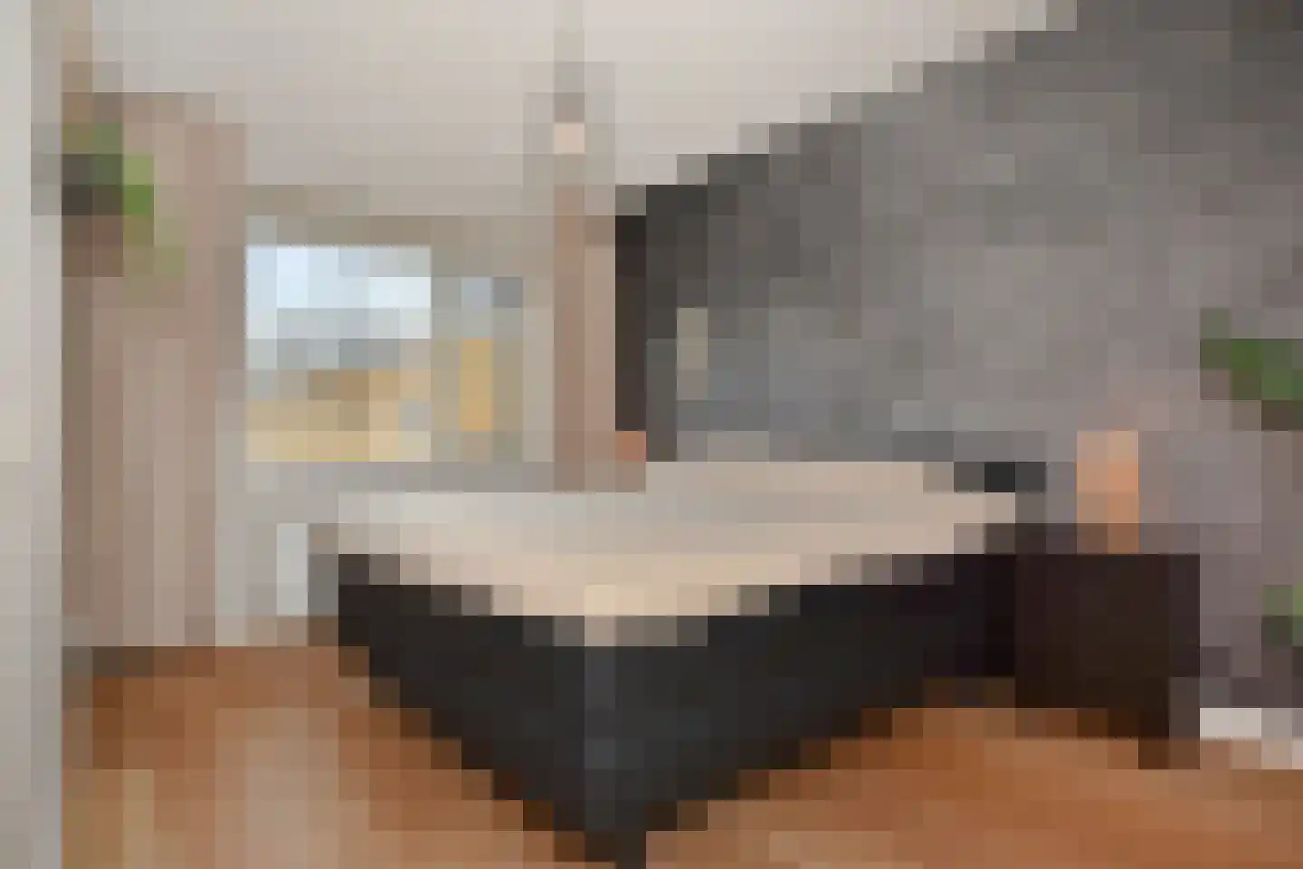 Zeepaddestoel 3 Naaldwijk thumbnail 26