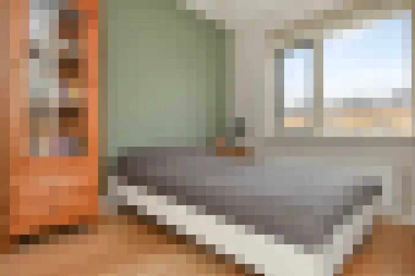 Zeepaddestoel 3 Naaldwijk thumbnail 29