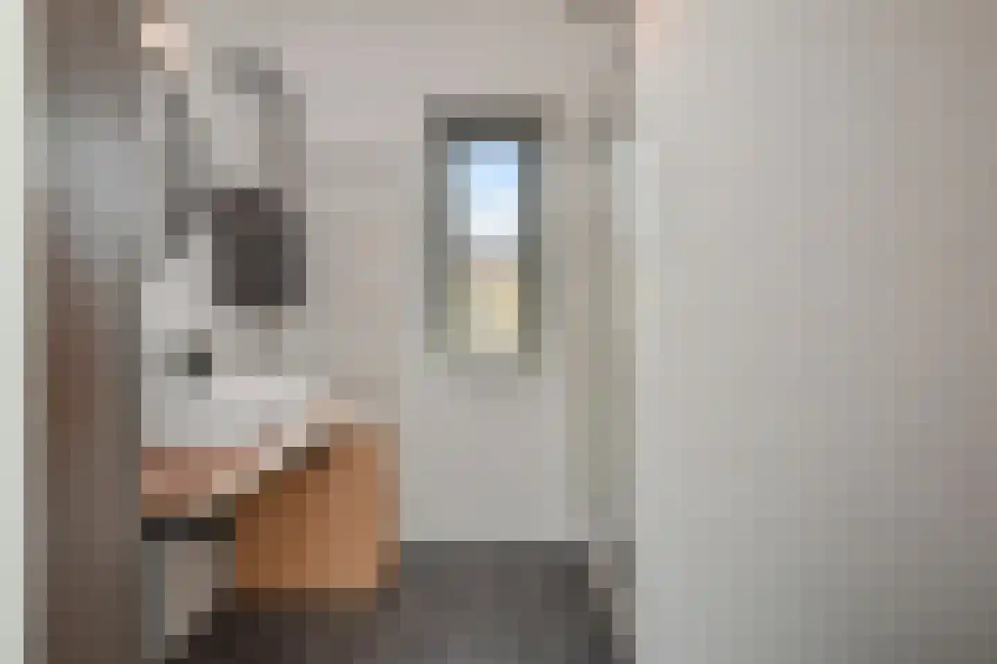 Zeepaddestoel 3 Naaldwijk thumbnail 30
