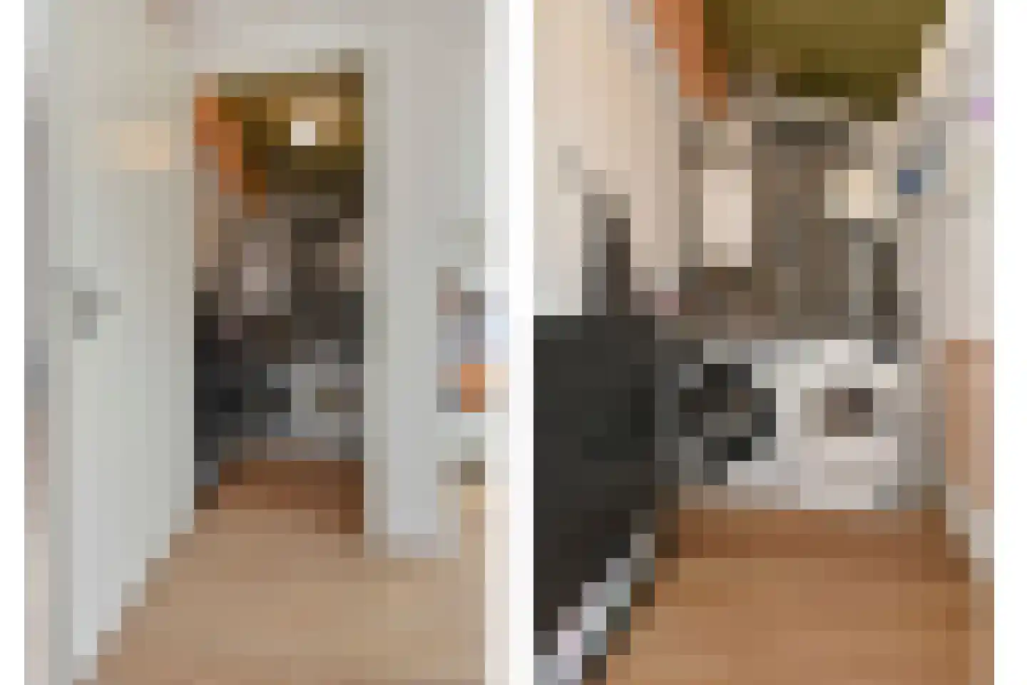 Zeepaddestoel 3 Naaldwijk thumbnail 37