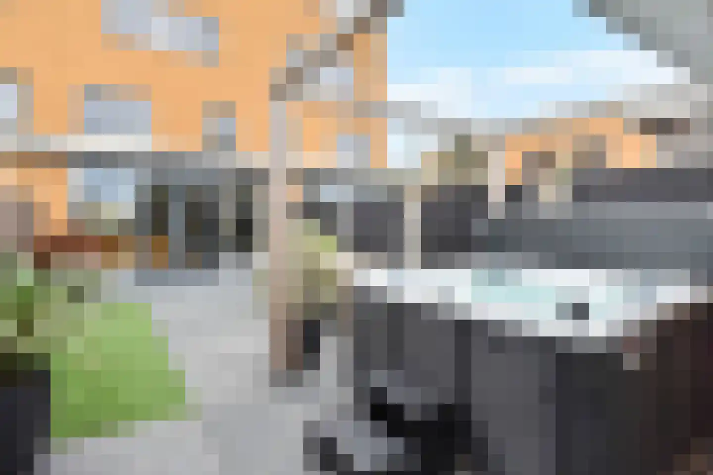 Zeepaddestoel 3 Naaldwijk thumbnail 4