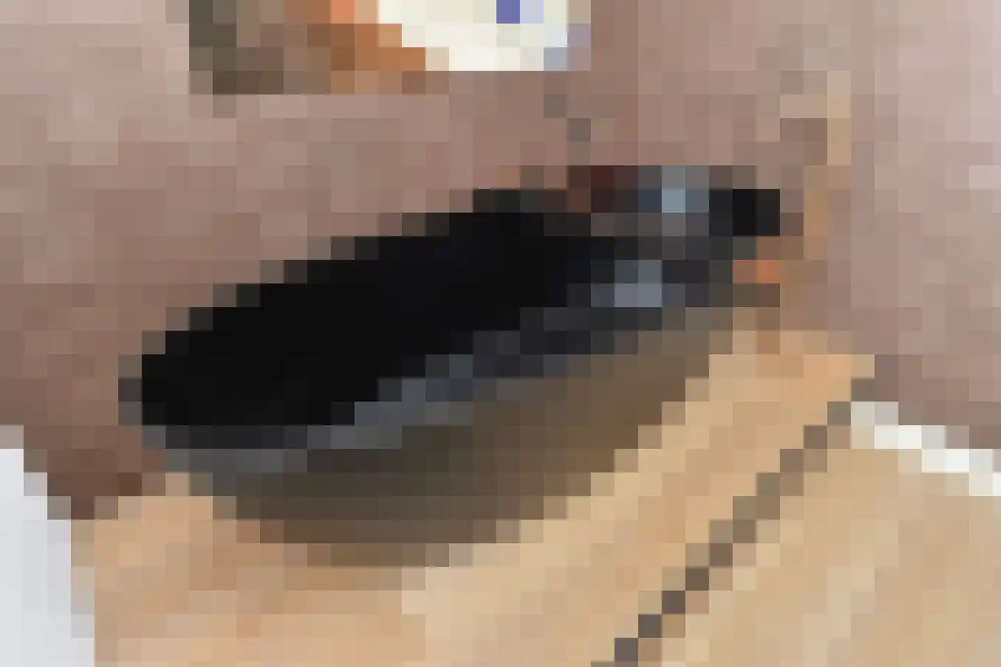 Zeepaddestoel 3 Naaldwijk thumbnail 40
