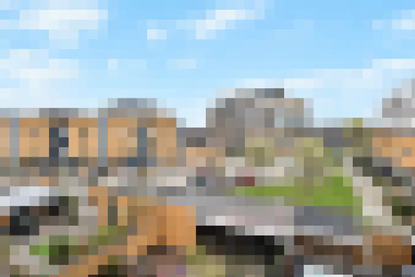 Zeepaddestoel 3 Naaldwijk thumbnail 43
