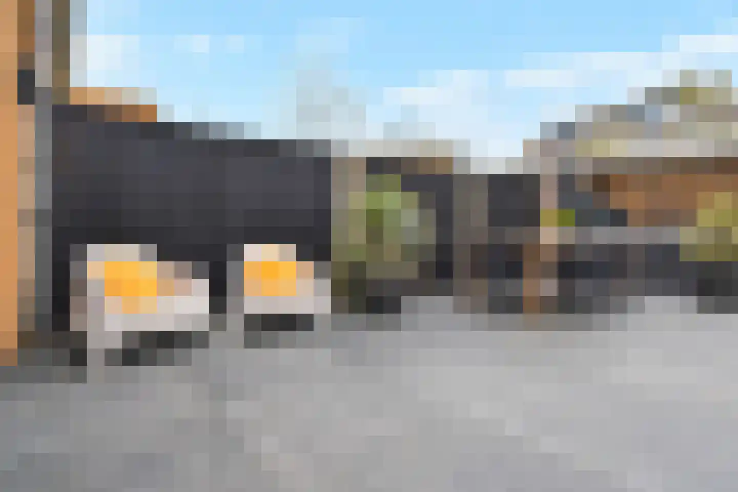 Zeepaddestoel 3 Naaldwijk thumbnail 45
