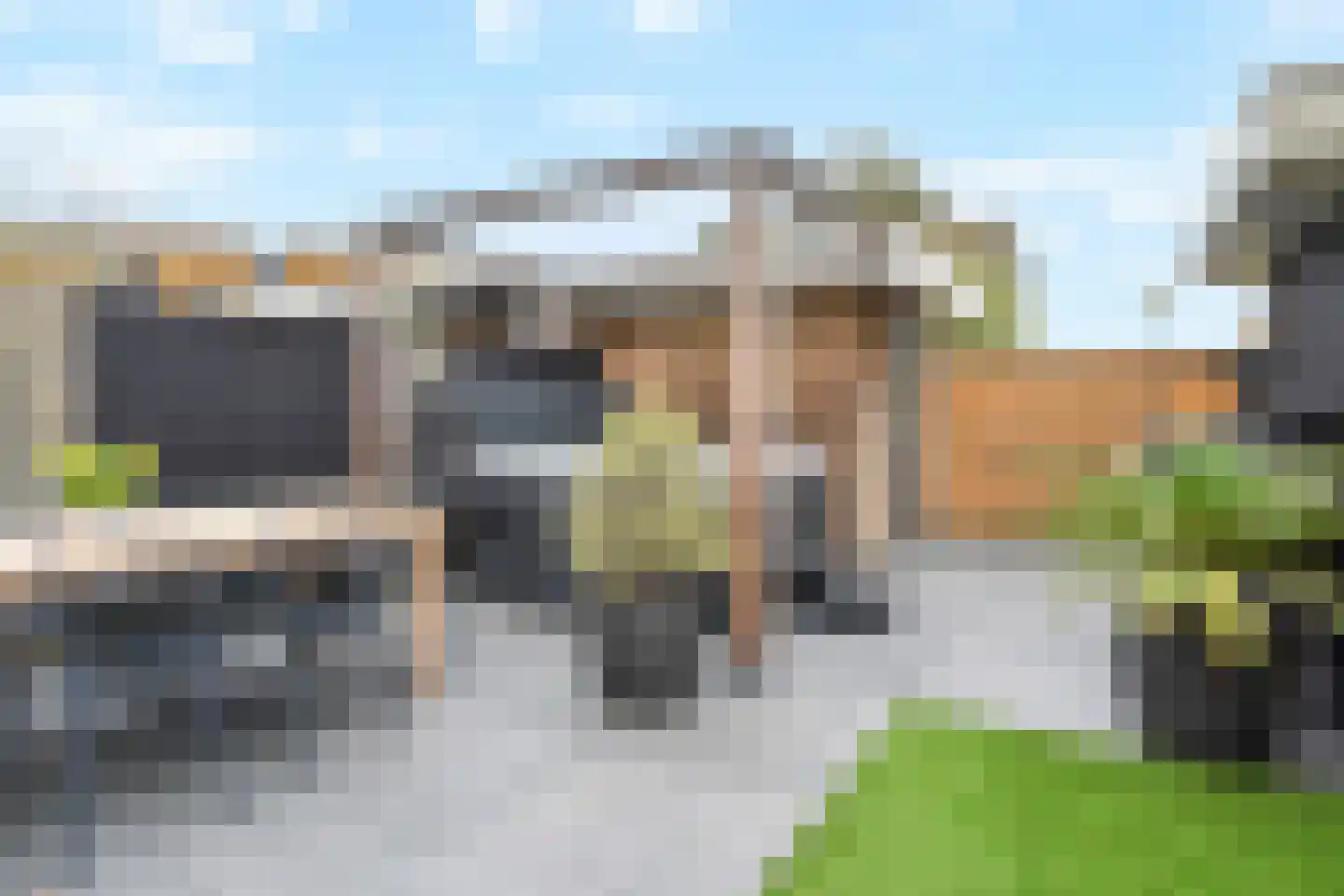 Zeepaddestoel 3 Naaldwijk thumbnail 46