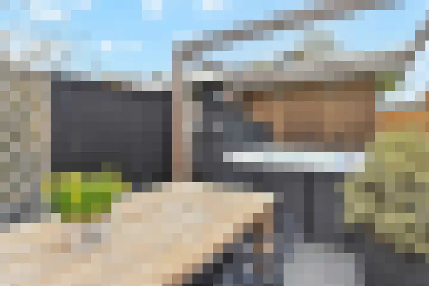 Zeepaddestoel 3 Naaldwijk thumbnail 47