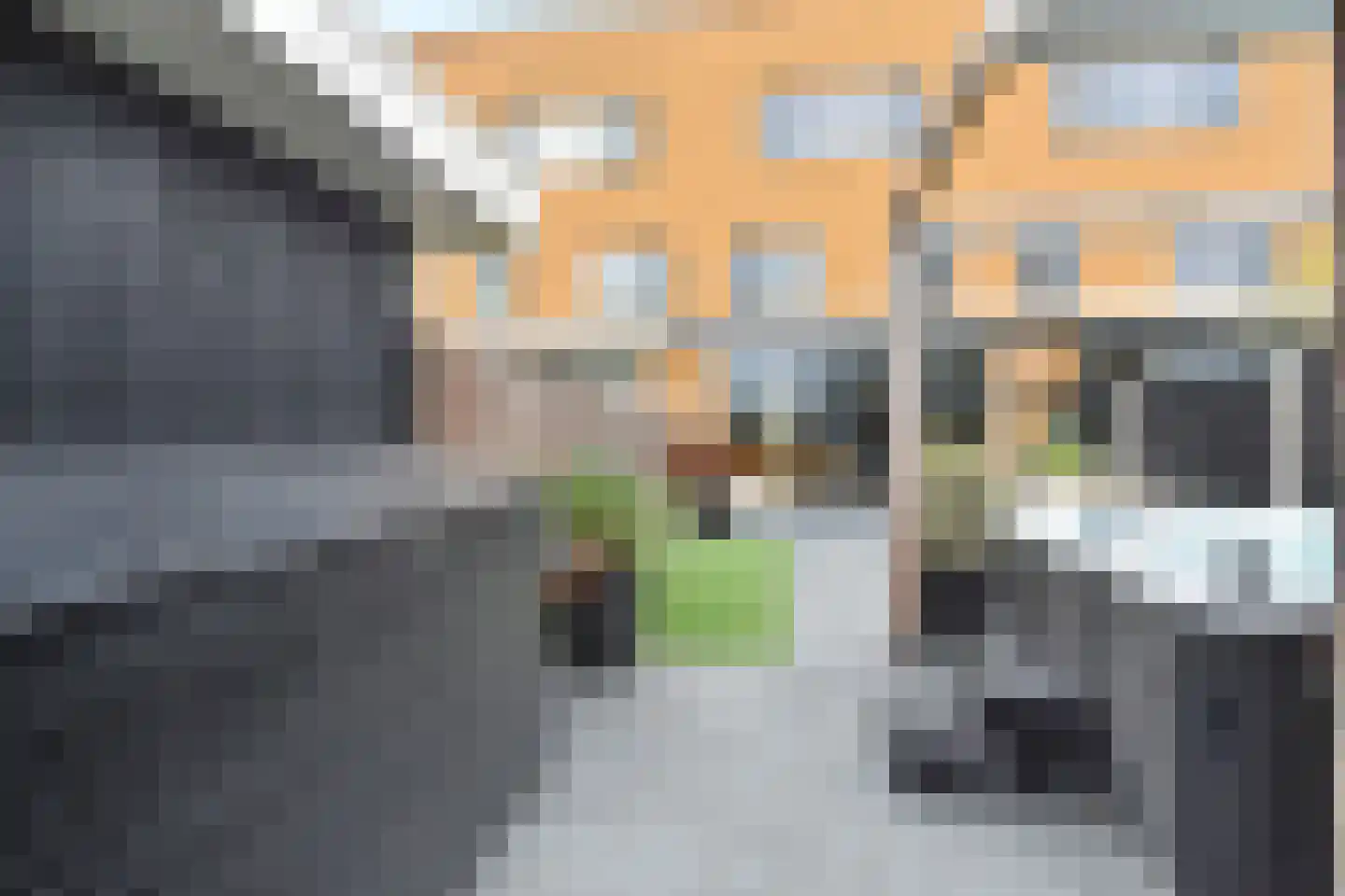 Zeepaddestoel 3 Naaldwijk thumbnail 49