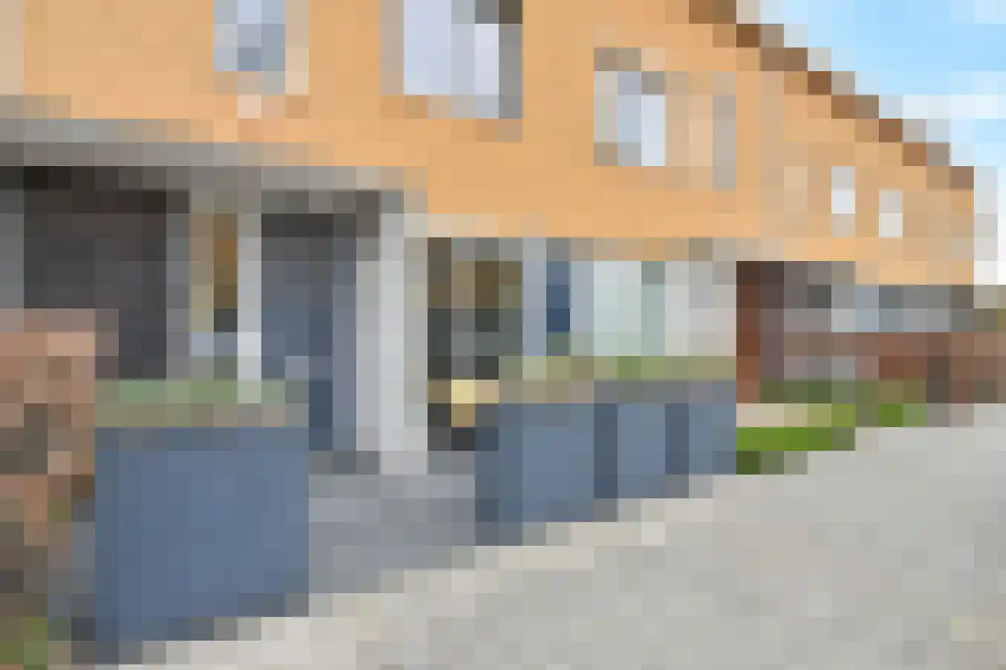 Zeepaddestoel 3 Naaldwijk thumbnail 5