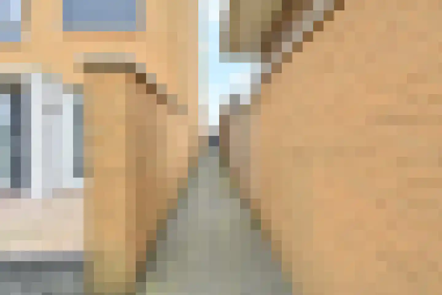 Zeepaddestoel 3 Naaldwijk thumbnail 52