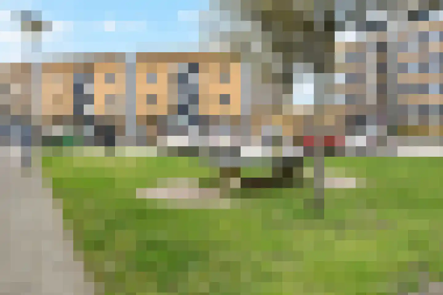 Zeepaddestoel 3 Naaldwijk thumbnail 53