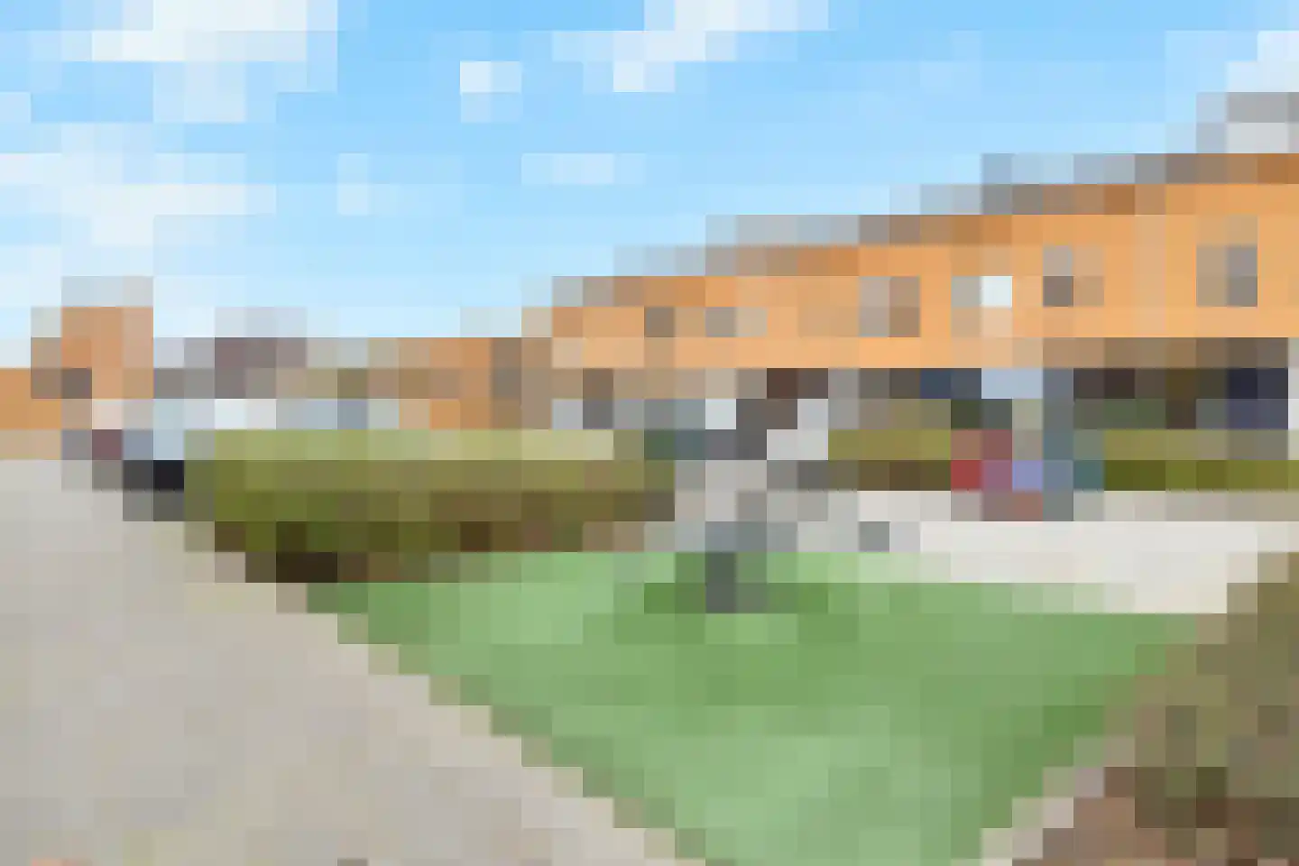 Zeepaddestoel 3 Naaldwijk thumbnail 54