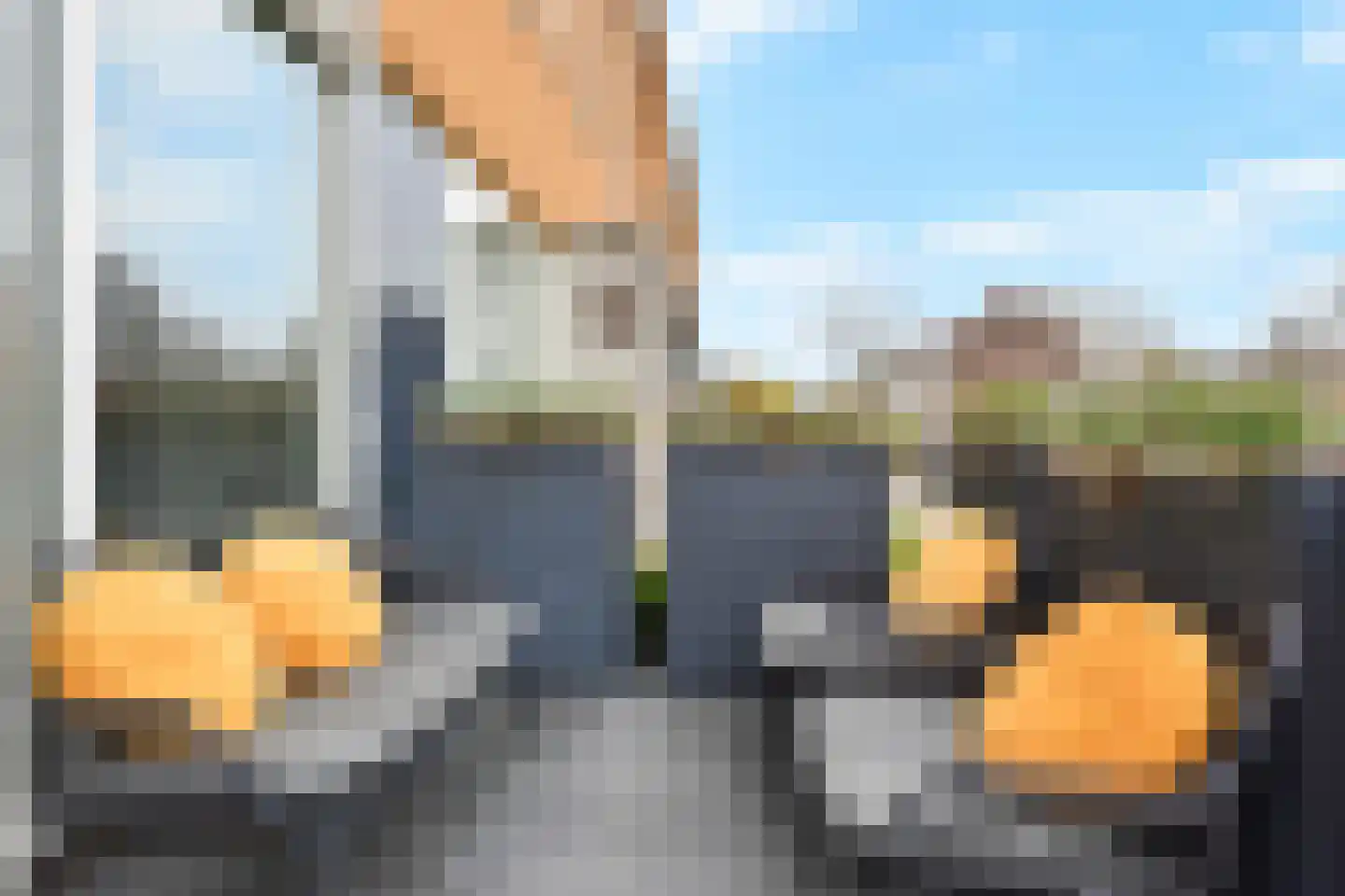 Zeepaddestoel 3 Naaldwijk thumbnail 6