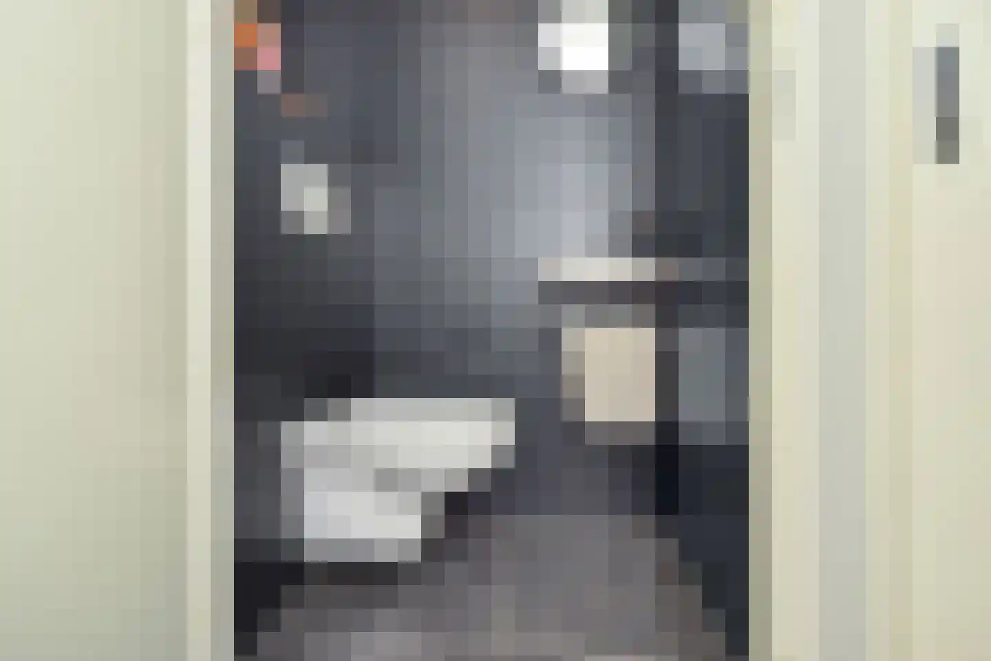 Zeepaddestoel 3 Naaldwijk thumbnail 9