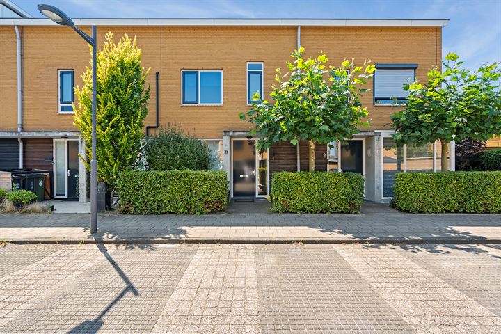 Zeepaddestoel 4 in Naaldwijk photo