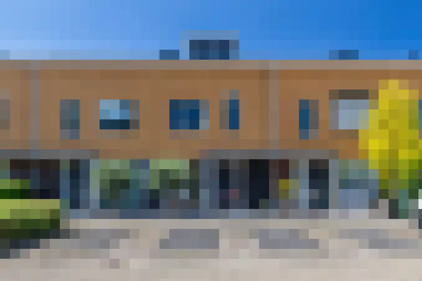 Zeepaddestoel 8 dans Naaldwijk