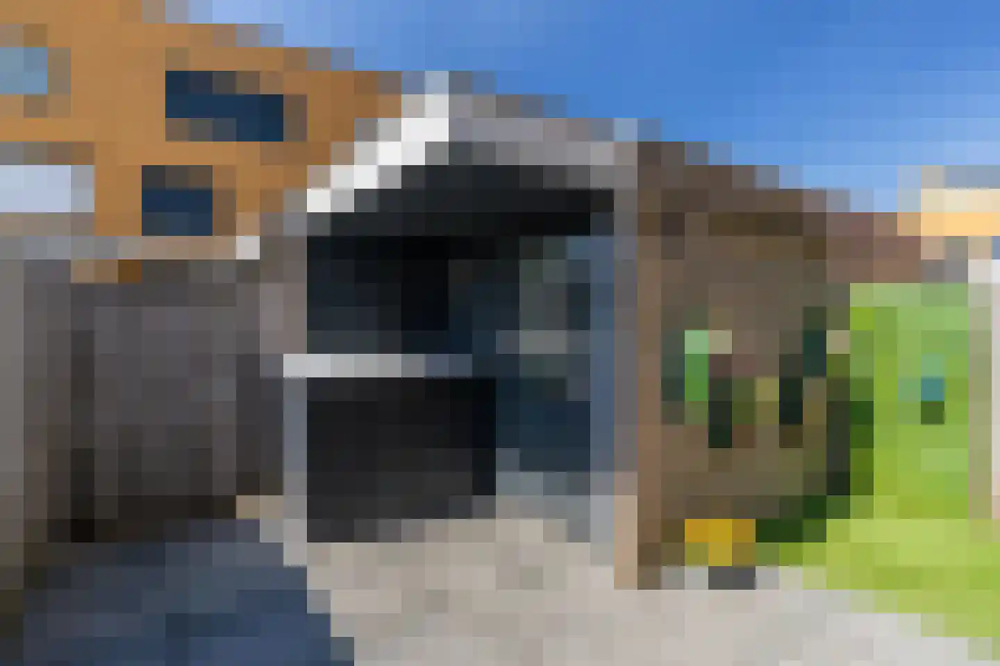 Zeepaddestoel 8 Naaldwijk thumbnail 16