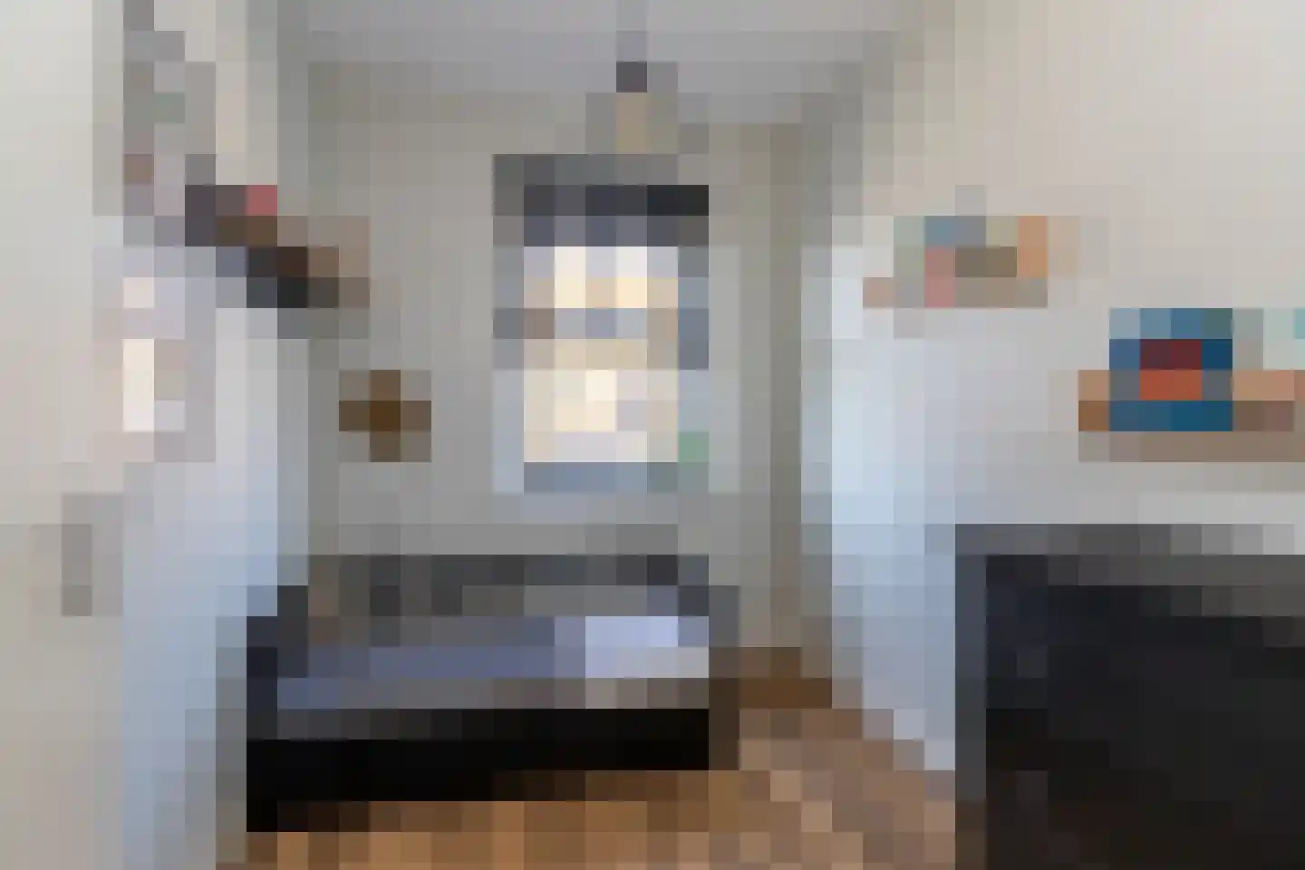Zeepaddestoel 8 Naaldwijk thumbnail 25