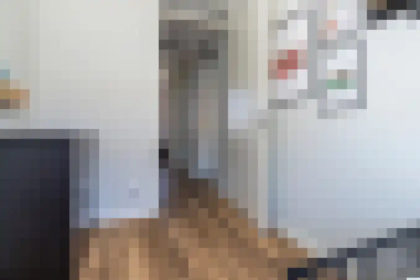 Zeepaddestoel 8 Naaldwijk thumbnail 26