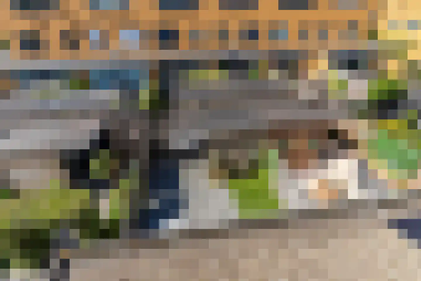 Zeepaddestoel 8 Naaldwijk thumbnail 33