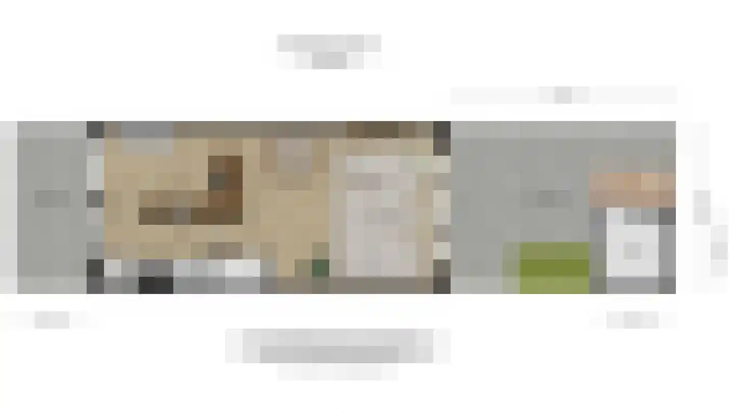 Zeepaddestoel 8 Naaldwijk thumbnail 37