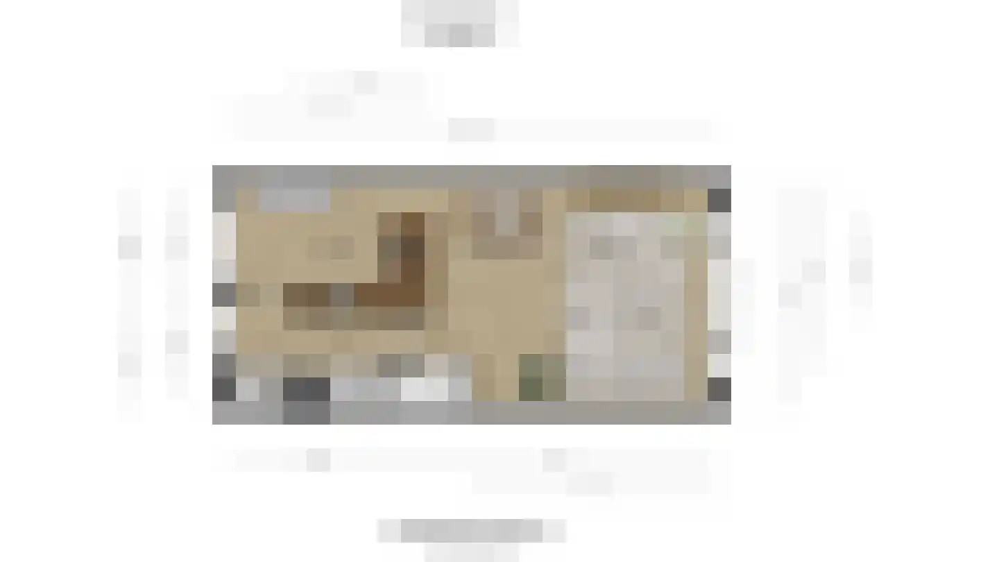 Zeepaddestoel 8 Naaldwijk thumbnail 38