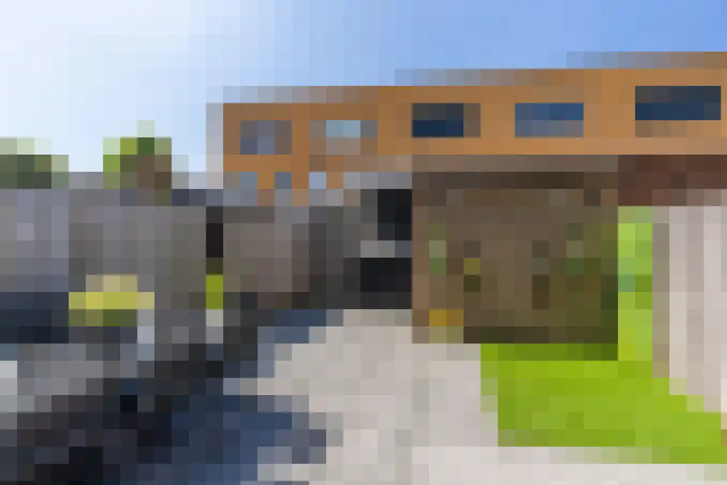Zeepaddestoel 8 Naaldwijk thumbnail 4