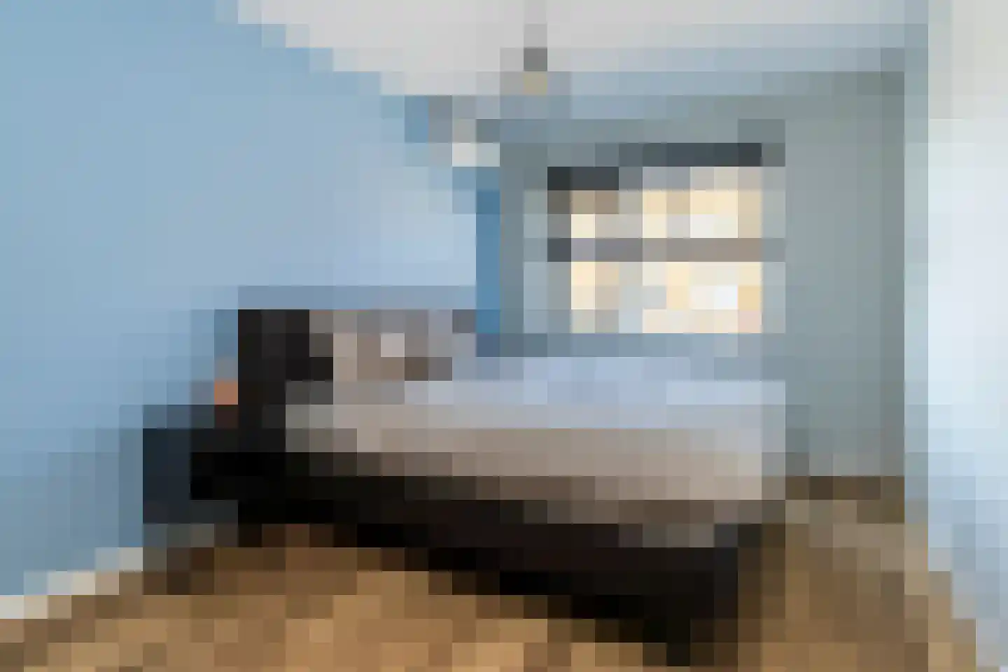Zeepaddestoel 8 Naaldwijk thumbnail 5