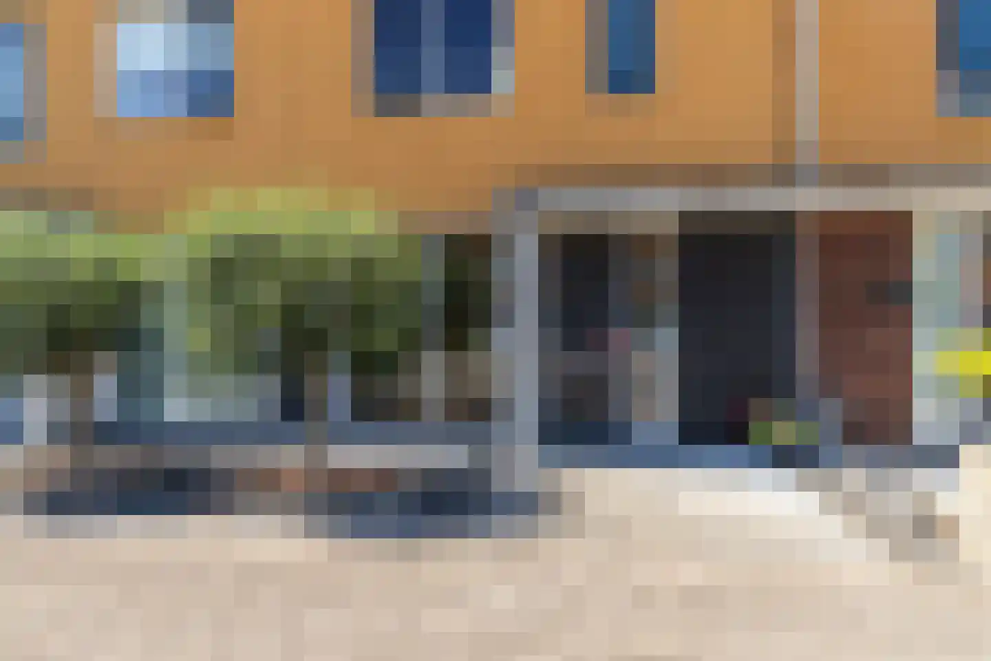 Zeepaddestoel 8 Naaldwijk thumbnail 6