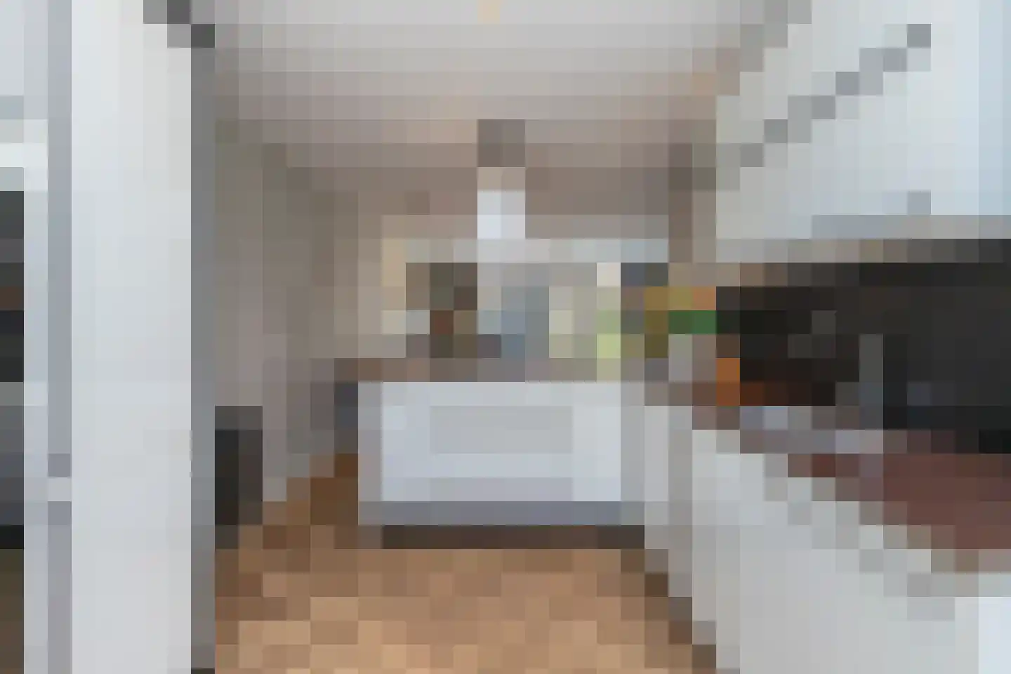 Zeepaddestoel 8 Naaldwijk thumbnail 8