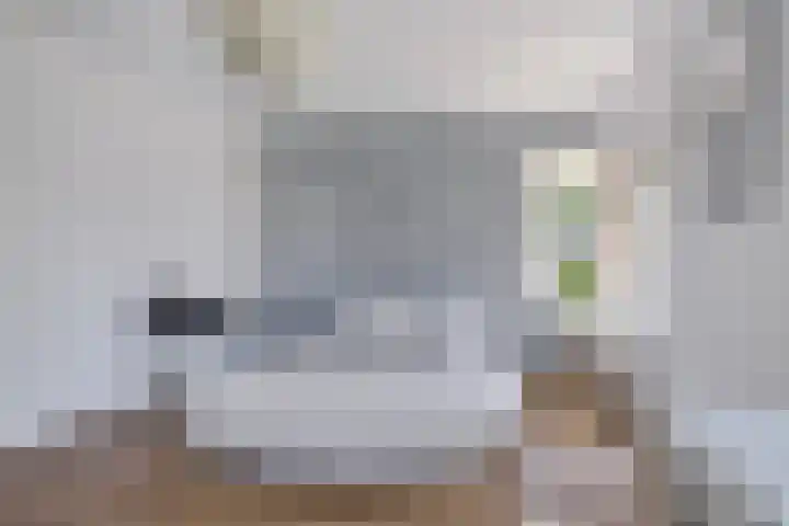 Zeepkruid 64 Amersfoort thumbnail 12