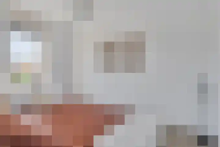 Zeepkruid 64 Amersfoort thumbnail 14
