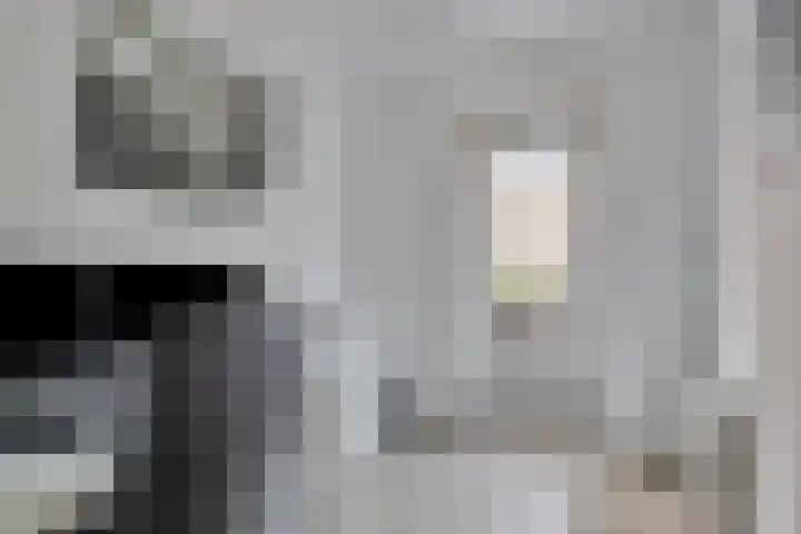 Zeepkruid 64 Amersfoort thumbnail 16
