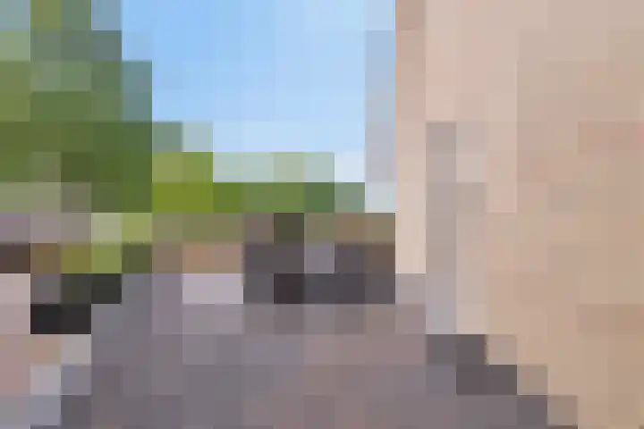 Zeepkruid 64 Amersfoort thumbnail 17