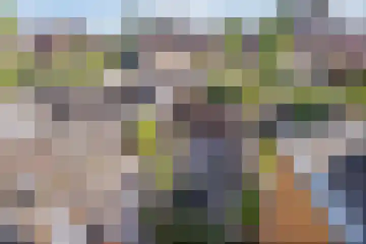 Zeepkruid 64 Amersfoort thumbnail 18