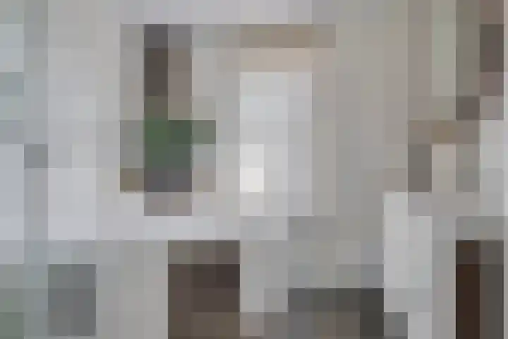 Zeepkruid 64 Amersfoort thumbnail 19