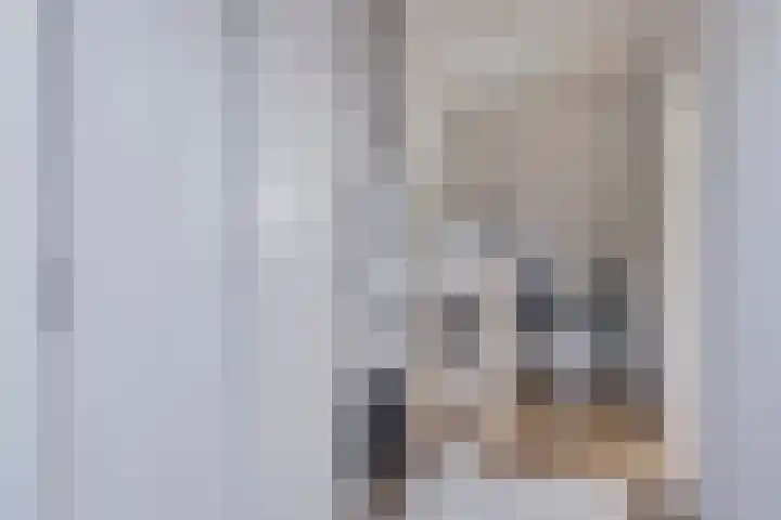 Zeepkruid 64 Amersfoort thumbnail 21