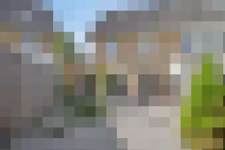 Zeepkruid 64 Amersfoort thumbnail 24
