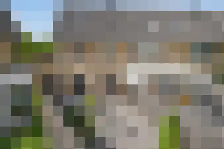 Zeepkruid 64 Amersfoort thumbnail 25
