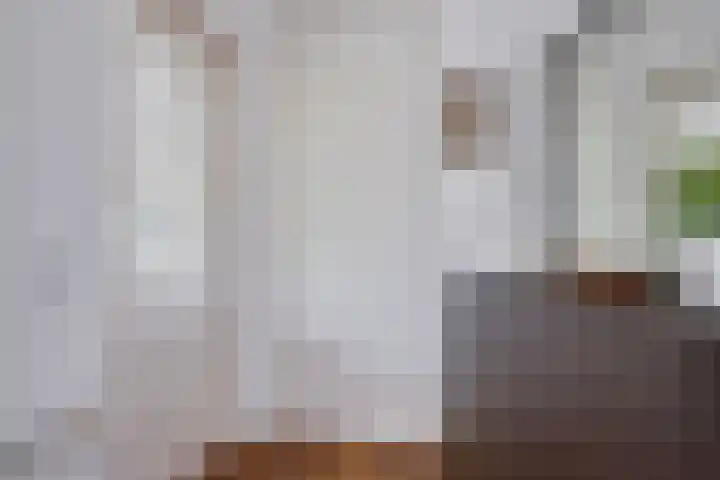 Zeepkruid 64 Amersfoort thumbnail 26